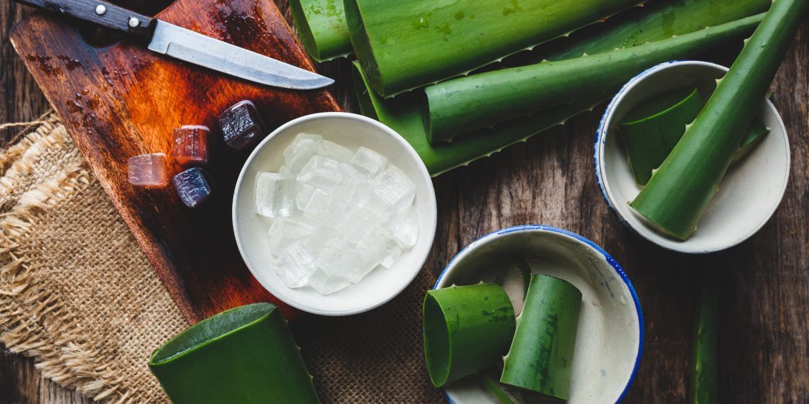 Aloe Vera: A Wellness Food for Middle-Aged Men