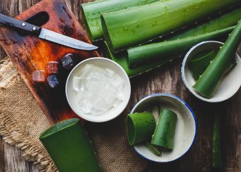 Aloe Vera: A Wellness Food for Middle-Aged Men