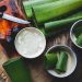 Aloe Vera: A Wellness Food for Middle-Aged Men