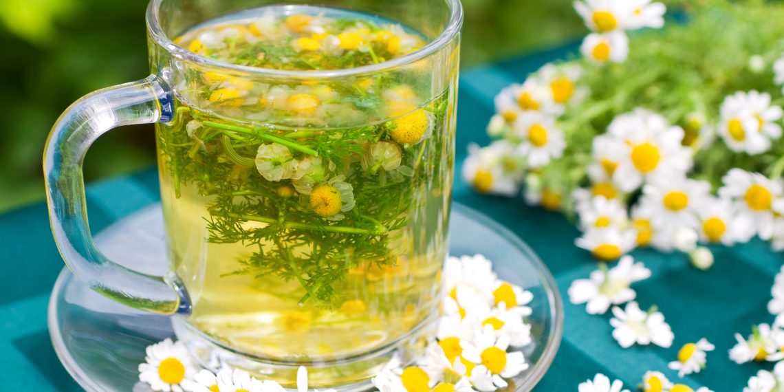 Chamomile: A Wellness Food for Middle-Aged Men