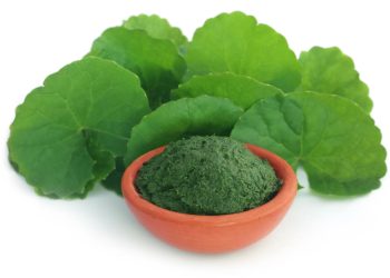 Gotu Kola: A Wellness Food for Middle-Aged Men