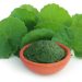 Gotu Kola: A Wellness Food for Middle-Aged Men