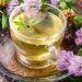Red Clover: A Wellness Food for Middle-Aged Men