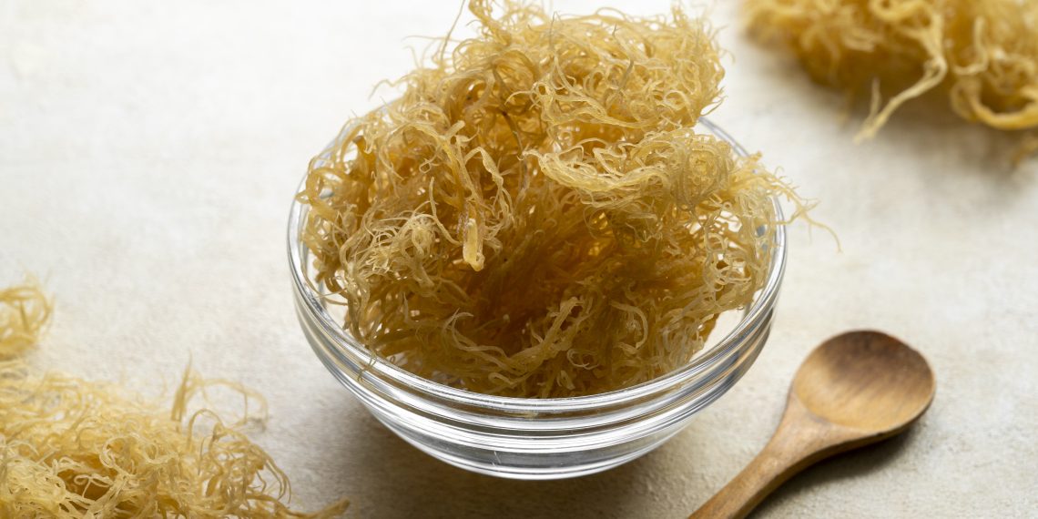 Sea Moss: A Wellness Food for Middle-Aged Men