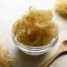 Sea Moss: A Wellness Food for Middle-Aged Men
