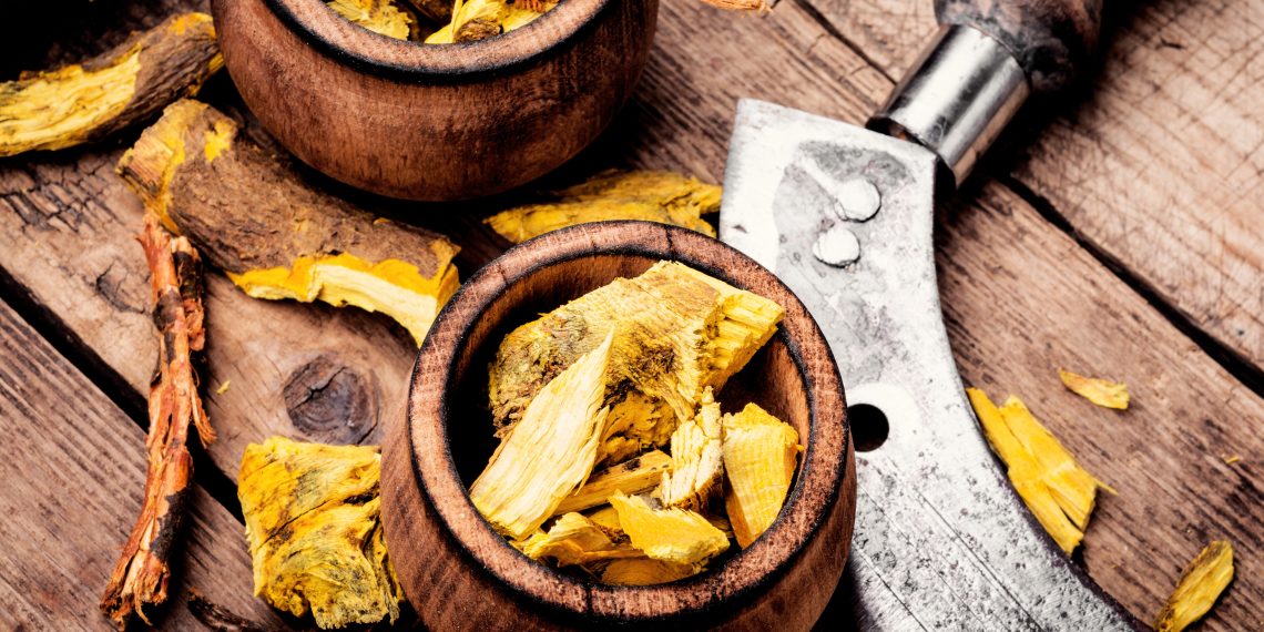 Barberry Root (Berberine): A Wellness Food for Middle-Aged Men