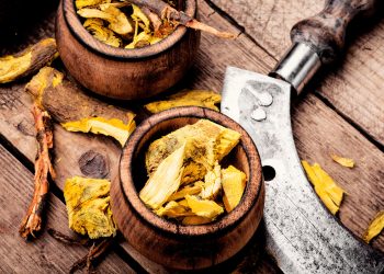 Barberry Root (Berberine): A Wellness Food for Middle-Aged Men